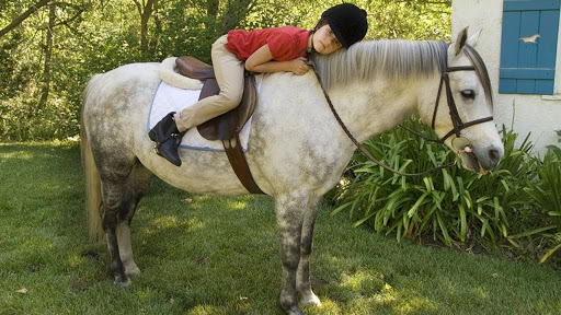 Ras Kuda dan Poni Terbaik untuk Anak-anak