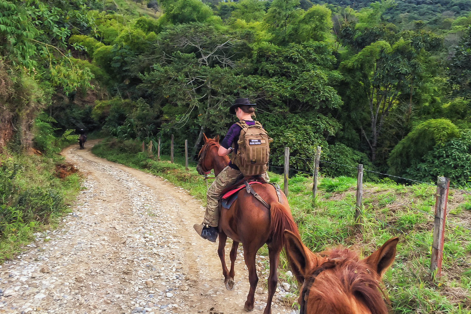 Perjalanan Menunggang Kuda Yang Ada di Kolombia